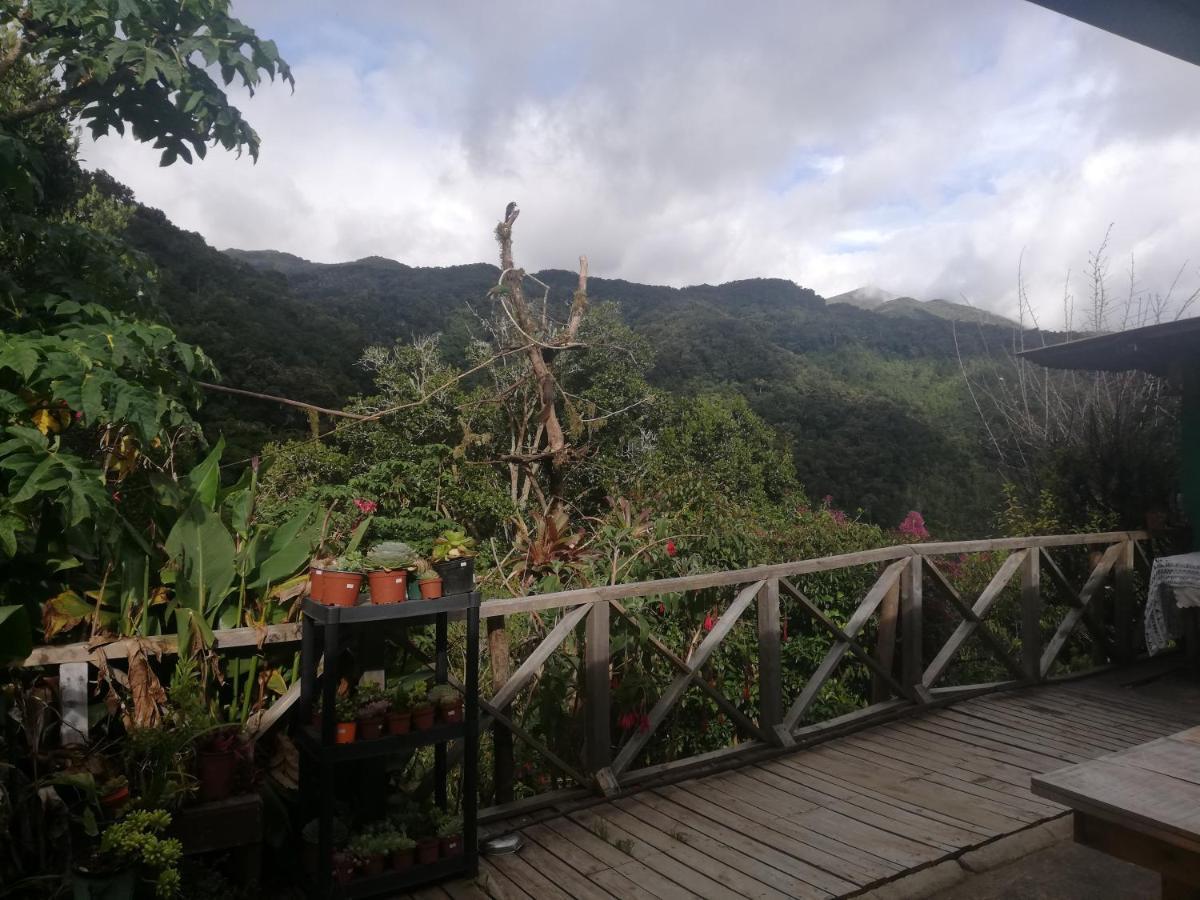 Cabanas San Gerardo San Gerardo de Dota Dış mekan fotoğraf